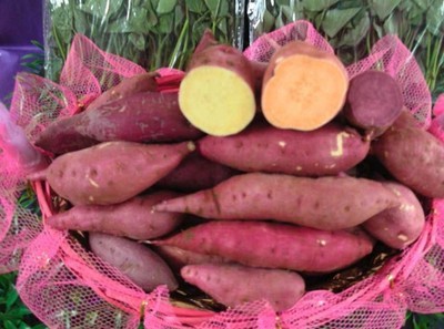 安吉綠耕生態農業發展 從“大番薯”看薯類作物的生態價值與產業未來